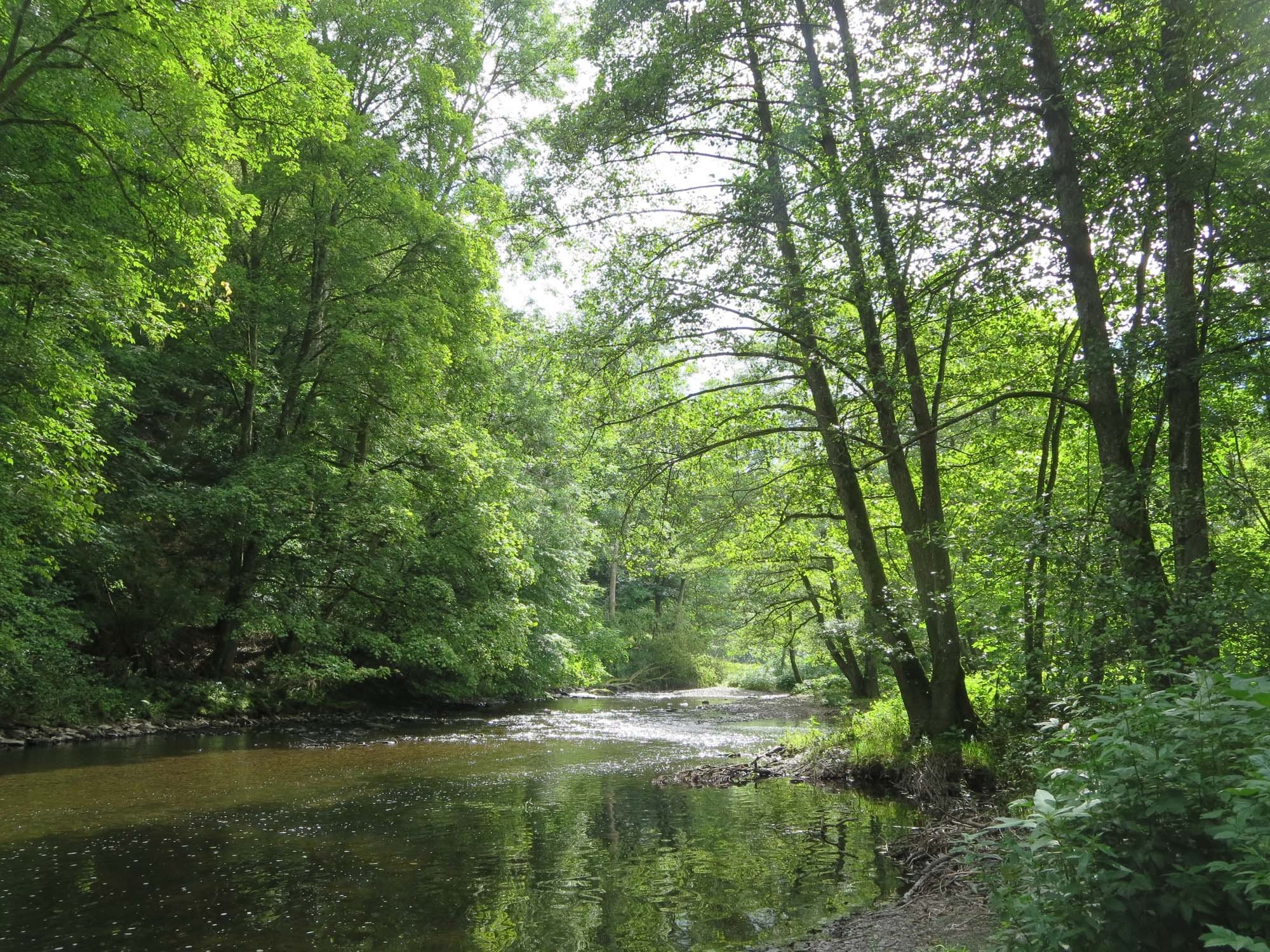 Smaller tent pitch by the water