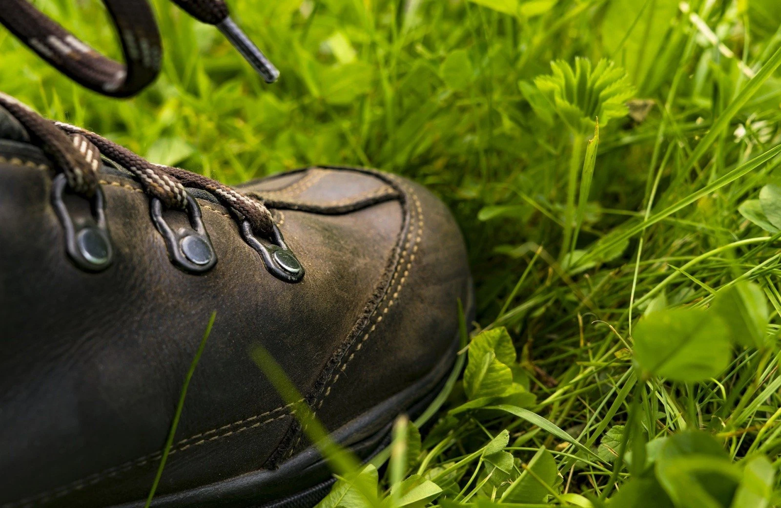 Hiking shoe 2415773 1920