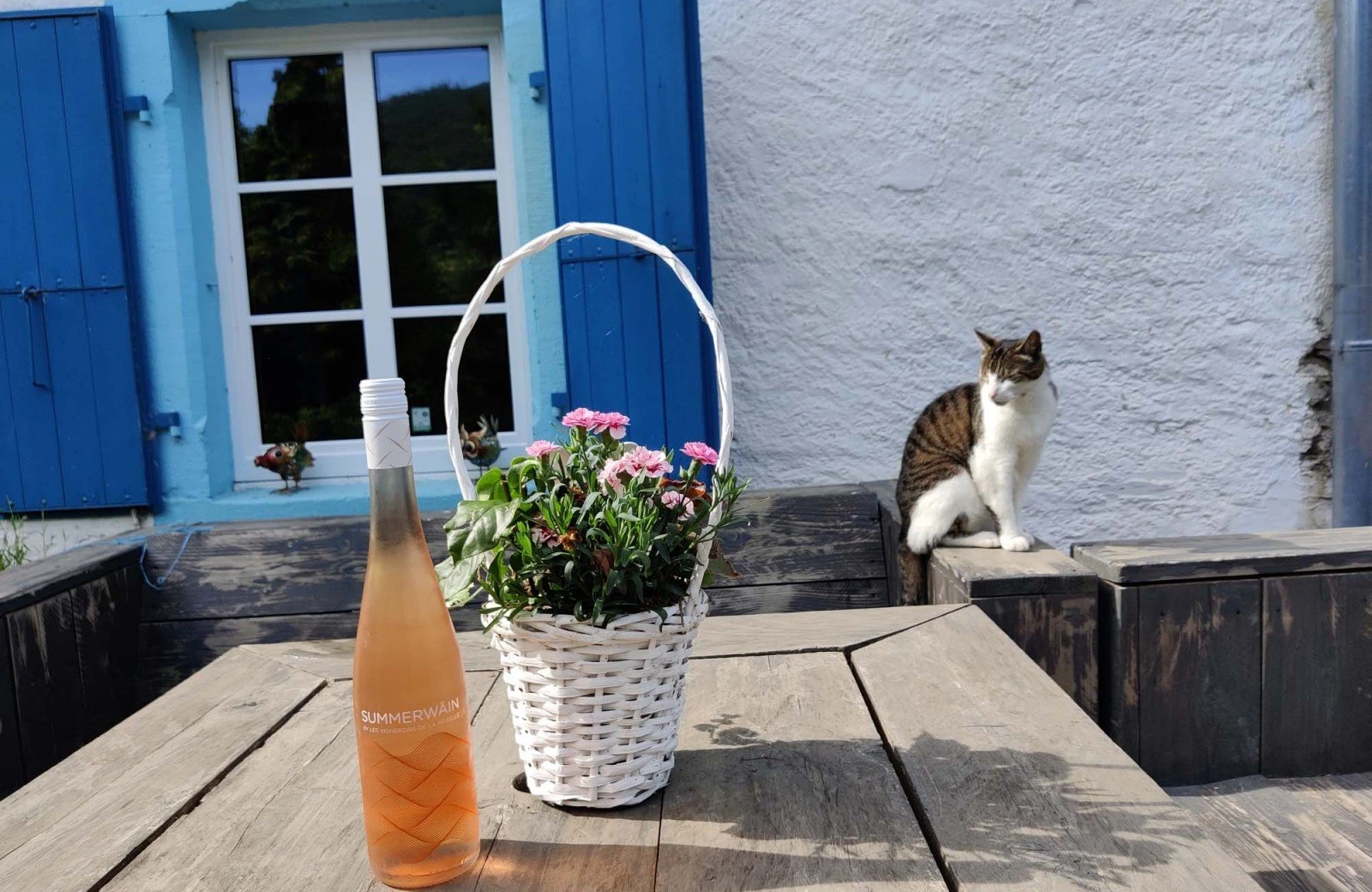 Terrace 698085e46fc47